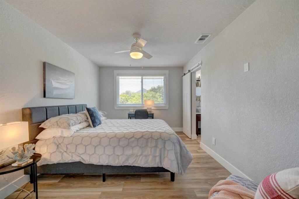 Beauty & The Beach For Lovers Of Fun, Work, Beach Clearwater Beach Extérieur photo